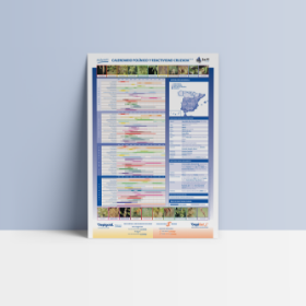 Desktop - Modulo Recursos & Recursos Relacionados  290x340 - Calendario polínico
